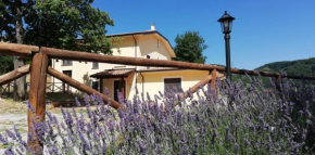 Agriturismo Acquafredda